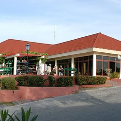 building with red tiles with many plants