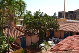 roof with colonial tiles and trees