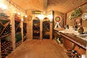 wine cellar with bottles of wine