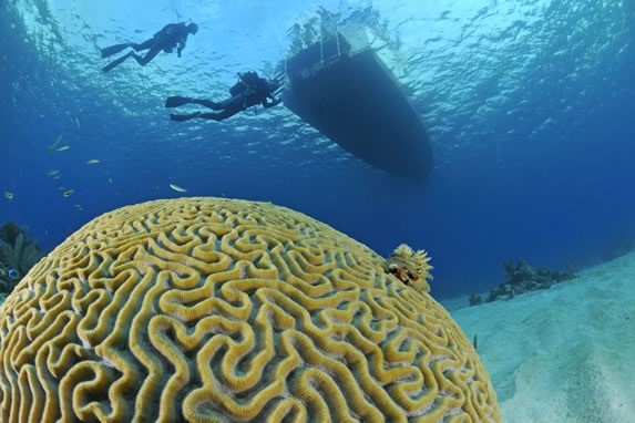 Diving on the beaches of Santa Lucia