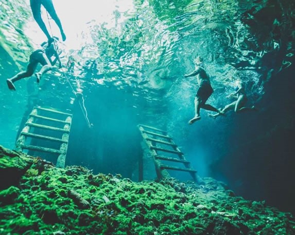 Diving in the Gran Cenote, Tulum