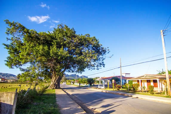 Streets of the town of Viñales
