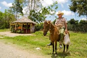 Puesto de frutas y vegetales en el campo