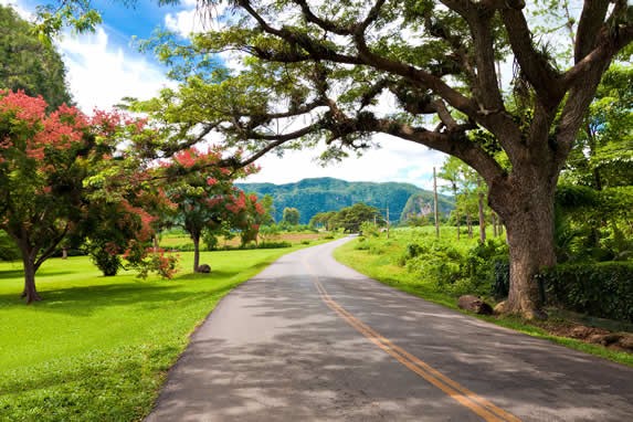 Road through the fields of Pinar del Río