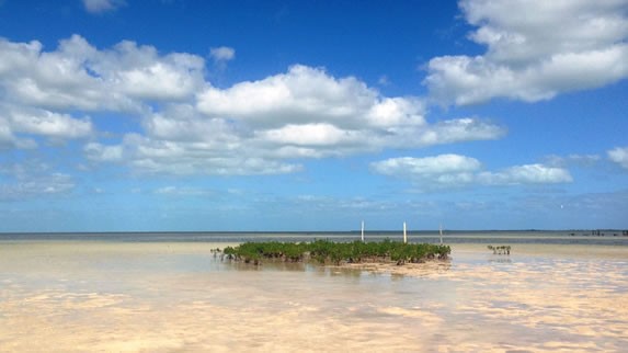 Playa Isla Blanca - Cancun