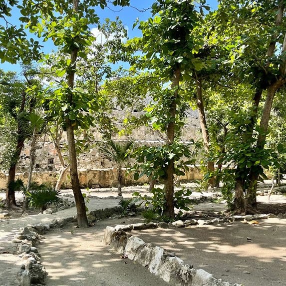 Archeological Zone San Miguelito - Cancun