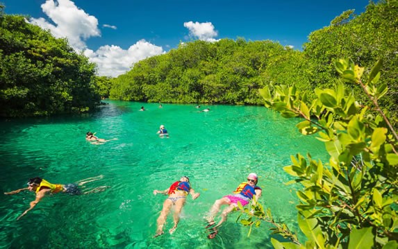 Tourists snorkeling