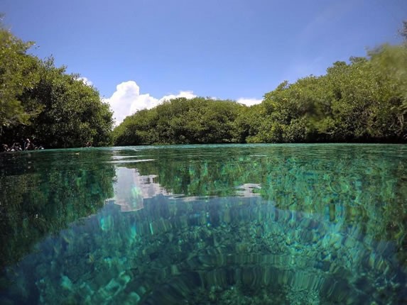Crystalline waters of the cenote
