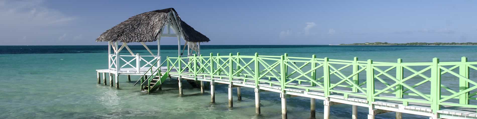 Puente de madera sobre aguas verdes