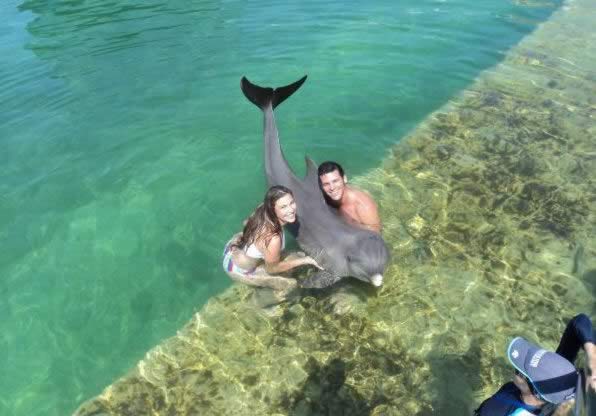 Swim with dolphins, Cayo Coco and Cayo Guillermo