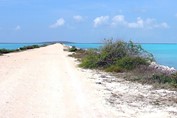 Cayo Paredon and Cayo Romano - Cuba