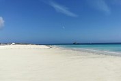 Cayo Paredon and Cayo Romano - Cuba