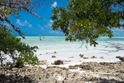 Cayo Paredon and Cayo Romano - Cuba