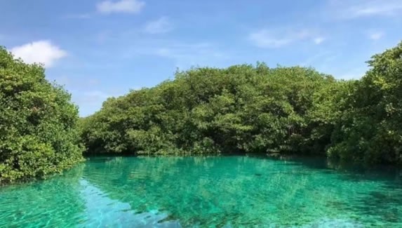Cenote Manati, Riviera Maya