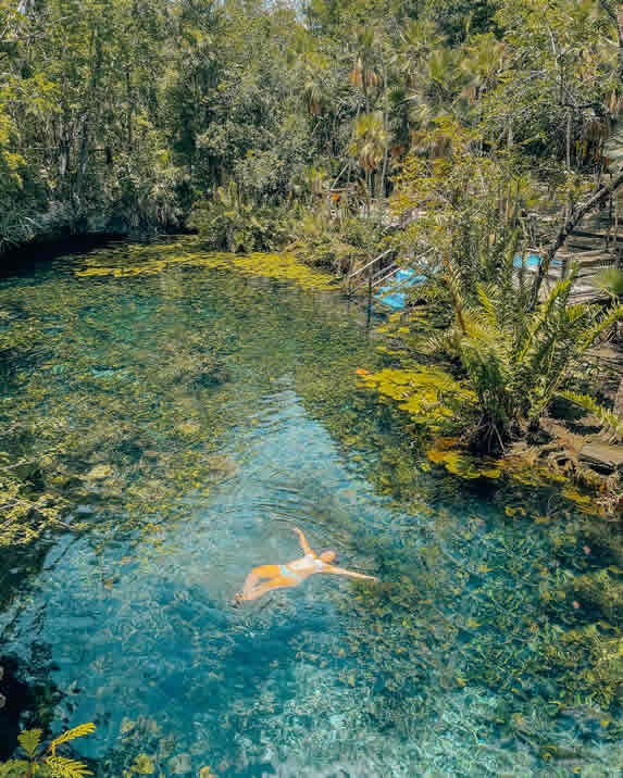 View of the cenotes