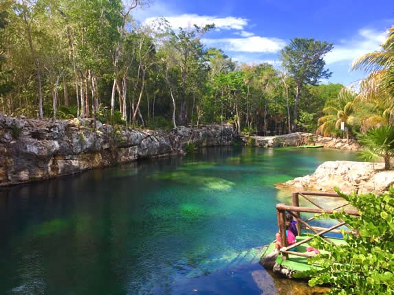 Cenotes Casa Tortuga , Tulum