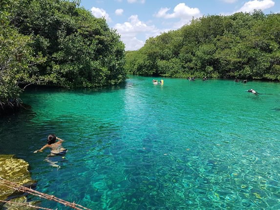 Casa Cenote diving center
