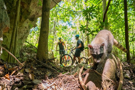 Cyclists in the Rio Secreto, Riviera Maya