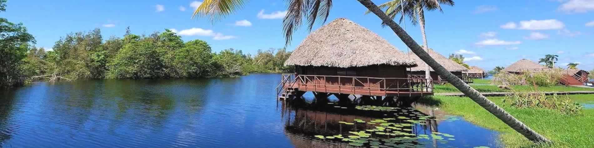 Vista de la ciénaga de Zapata