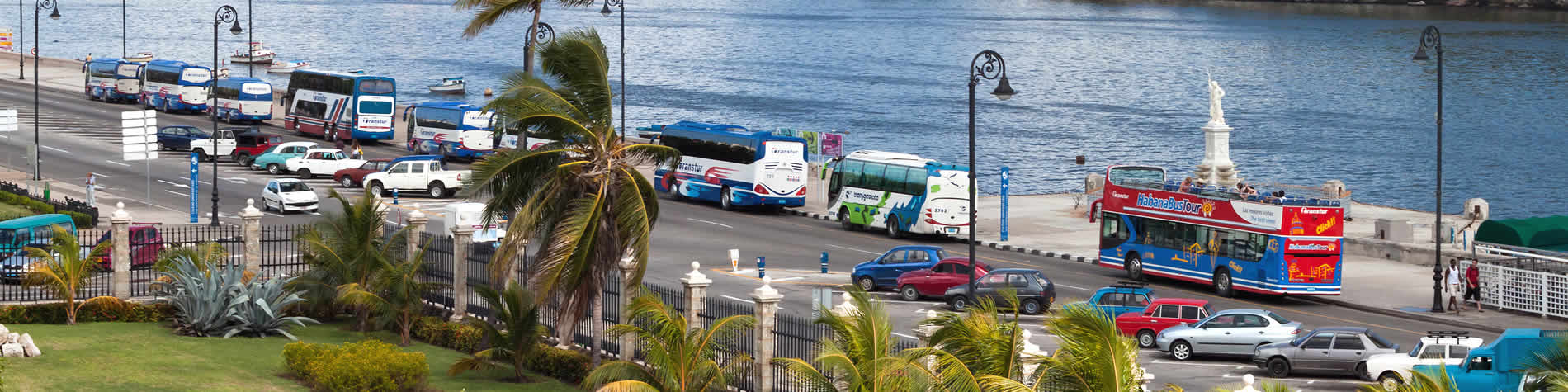 Vista de autobuses de traslados en La Habana