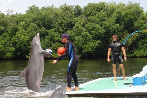 Varadero Dolphinarium