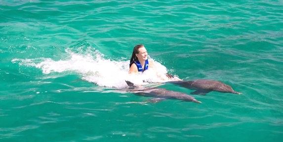 Dolphin Explorer Picture 3