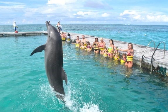 Dolphin Island Park Imagen 1