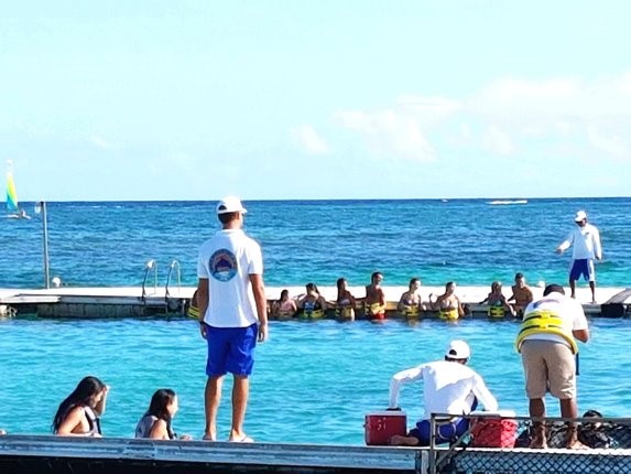 Dolphin Island Park Picture 3