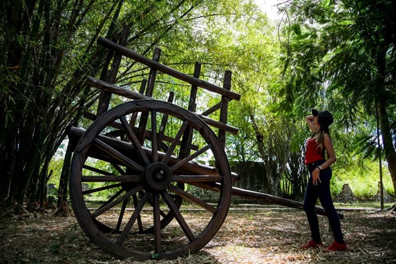 Wooden cart at Finca El Cornito
