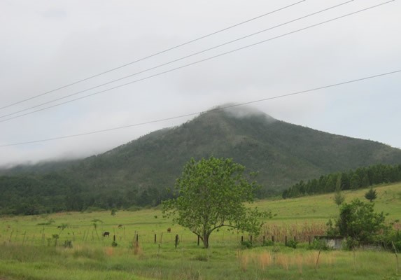 mountains with abundant vegetation