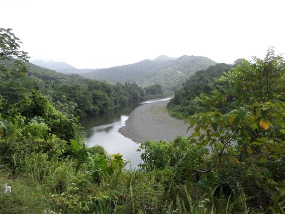 montañas y río rodeado de vegetación