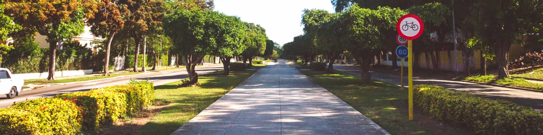 View of the fifth avenue