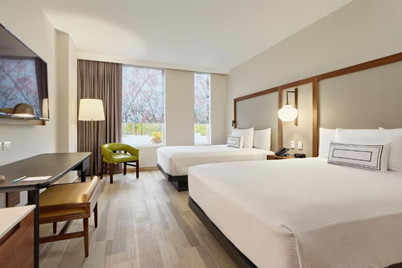 View of the standard hotel room