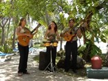 Melia Varadero Hotel - Music by the pool and beach