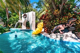 Grand Oasis Palm Picture 1