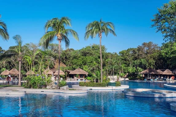 view of pool and palm trees