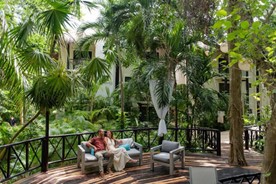 Vista de selva tropical en área del hotel