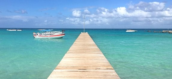 Isla Saona Picture 3