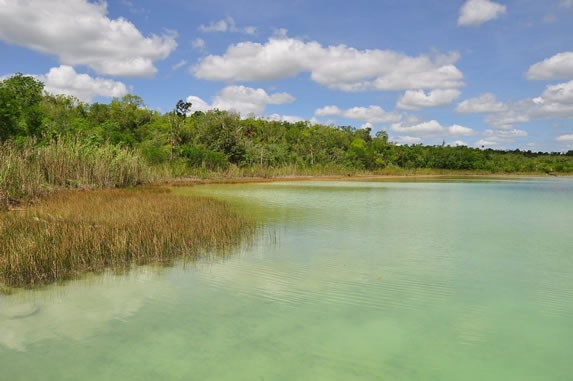 Vista lago en la reserva Punta Laguna Natural