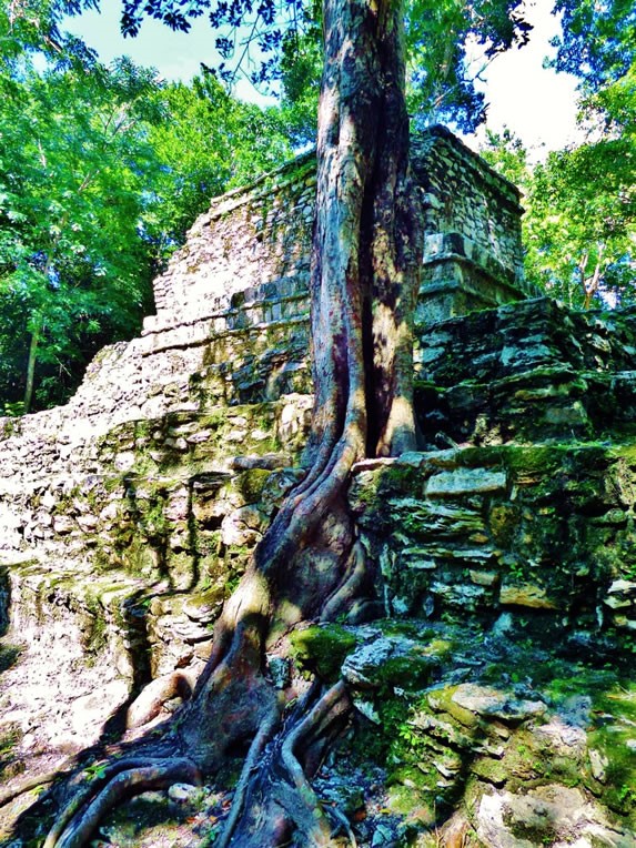 Archaeological zone of Muyil, Riviera Maya