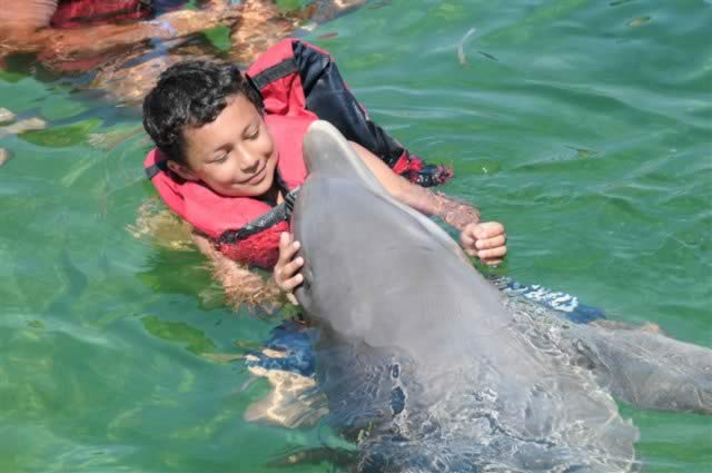 Nado con delfines, Varadero, Cuba