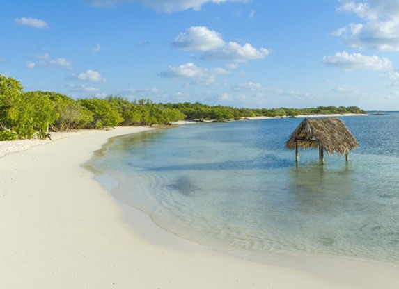 Playa con abundante vegetación en Cayo Santa Maria