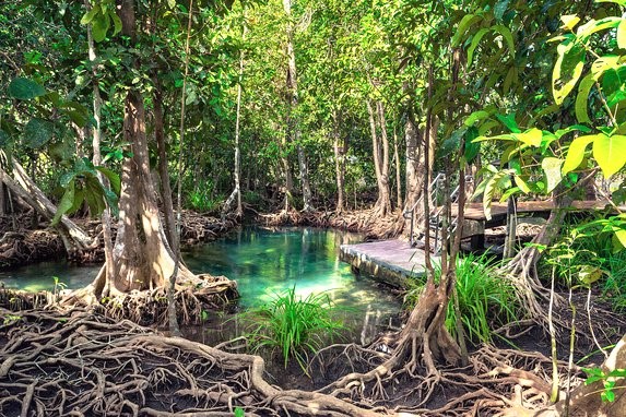 Parque Nacional Los Haitises Picture 7