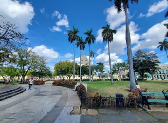 Abundante vegetación en el Parque de la Fraternida