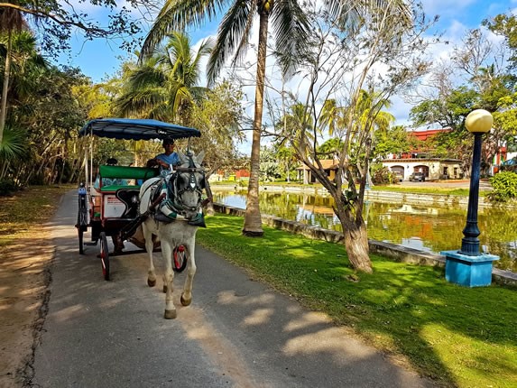 Horseback riding inside the park