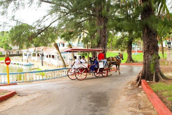 Paseo a caballo por la vegetación del parque