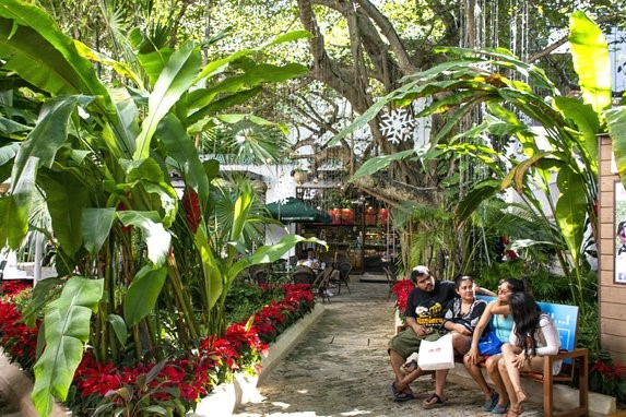 Paseo del Carmen, Playa del Carmen
