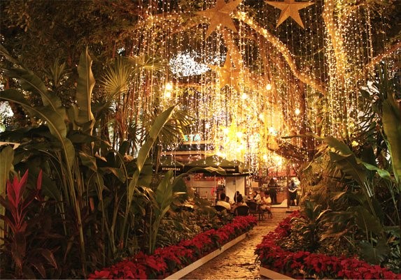 Paseo del Carmen, Playa del Carmen