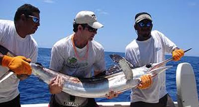 Pesca en Cayo Coco y Cayo Guillermo