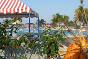 vista de la piscina del hotel rodeada de palmeras